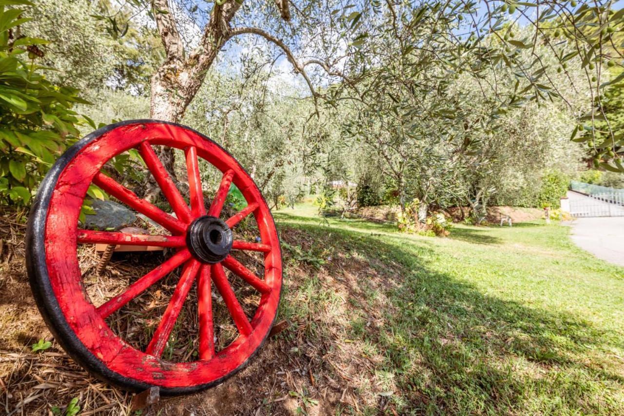 Penzion Al Giardino Degli Ulivi Santa Maria Albiano Exteriér fotografie